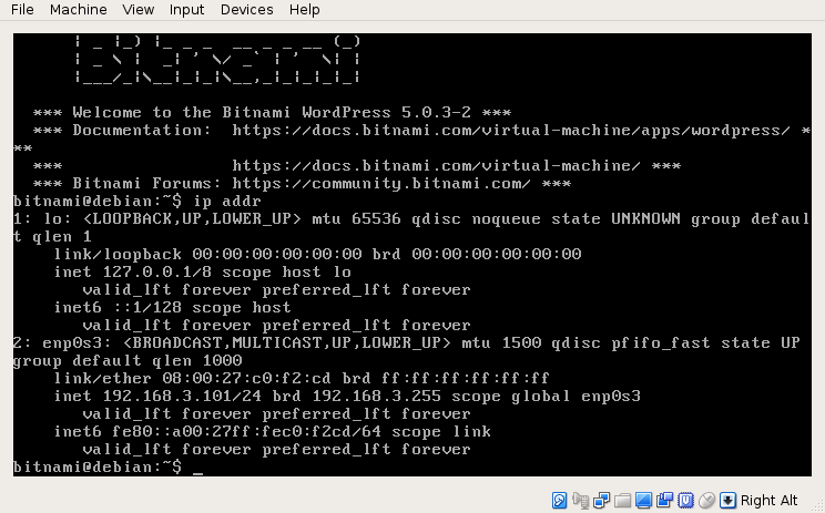 Running `ip addr` shows the right IP.